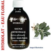 Hydrolat - Sauge officinale (salvia officinalis) - Herbo-aroma - Herboristerie Bardou™ 