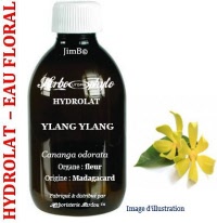 Hydrolat - Ylang ylang (cananga odorata) - Herbo-aroma - Herboristerie Bardou™ 