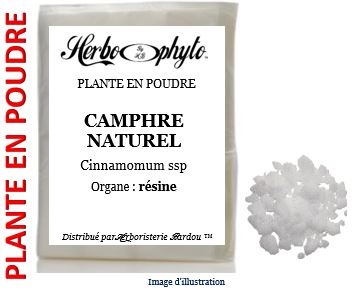 Plante en poudre - Camphre naturel (cinnamomum camphora) poudre -  Herbo-phyto® - Herboristerie Bardou™