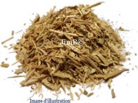 Plante en vrac - Muira puama (ptychopetalum olacoides) - Herbo-phyto - Herboristerie Bardou™ 