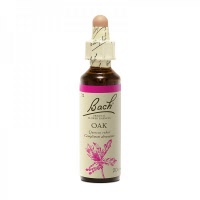 Fleur de bach - Oak (quercus robur)(chêne) - Bach original® - Herboristerie Bardou™