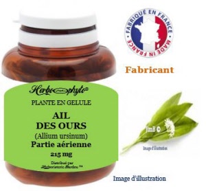 Plante en gélule - Ail des ours (allium ursinum) - Herbo-phyto - Herboristerie Bardou™ 