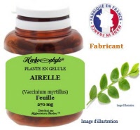 Plante en gélule - Airelle (vaccinium myrtillus) - Herbo-phyto - Herboristerie Bardou™ 