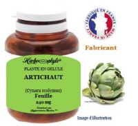 Plante en gélule - Artichaut (cynara scolymus) - Herbo-phyto - Herboristerie Bardou™ 