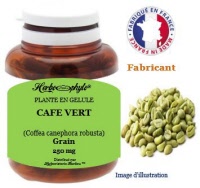 Plante en gélule - Café vert (coffea canephora robusta) - Herbo-phyto - Herboristerie Bardou™ 