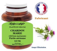 Plante en gélule - Chardon marie (silybum marianum) - Herbo-phyto - Herboristerie Bardou™ 