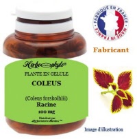 Plante en gélule - Coléus (coleus forskolhlii) - Herbo-phyto - Herboristerie Bardou™ 