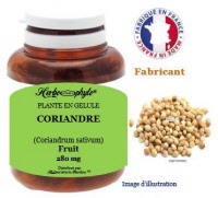 Plante en gélule - Coriandre (coriandrum sativum) - Herbo-phyto - Herboristerie Bardou™ 
