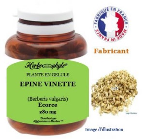 Plante en gélule - Epine vinette (berberis vulgaris) - Herboristerie Bardou™