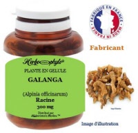 Plante en gélule - Galanga (alpinia officinarum) - Herboristerie Bardou™