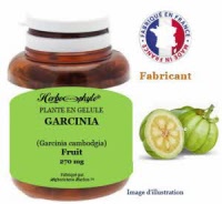 Plante en gélule - Garcinia (garcinia cambodgia) - Herboristerie Bardou™