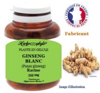 Plante en gélule - Ginseng (panax ginseng) - Herboristerie Bardou™