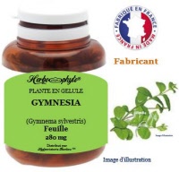 Plante en gélule - Gymnesia (gymnema sylvestris) - Herboristerie Bardou™