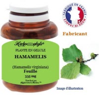 Plante en gélule - Hamamélis (hamamelis virginiana) - Herboristerie Bardou™