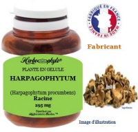 Plante en gélule - Harpagophytum (harpagophytum procumbens) - Herboristerie Bardou™