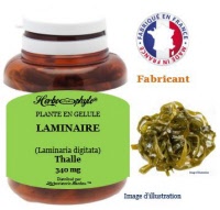 Plante en gélule - Laminaire (laminaria digitata) - Herboristerie Bardou™