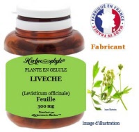Plante en gélule - Livèche (levisticum officinale) - Herboristerie Bardou™
