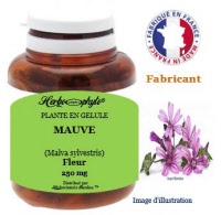 Plante en gélule - Mauve (malva sylvestris) - Herboristerie Bardou™