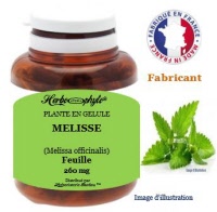 Plante en gélule - Mélisse (melissa officinalis) - Herboristerie Bardou™
