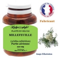 Plante en gélule - Millefeuille (achillea millefolium) - Herboristerie Bardou™