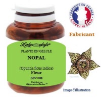 Plante en gélule - Nopal (opuntia ficus indica) - Herboristerie Bardou™