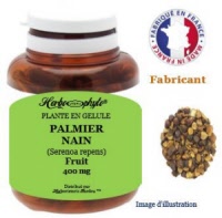 Plante en gélule - Palmier nain (serenoa repens)(saw palmetto) - Herboristerie Bardou™