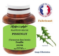 Plante en gélule - Pissenlit (taraxacum dens leonis) - Herboristerie Bardou™