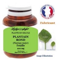Plante en gélule - Plantain rond (plantago major) - Herboristerie Bardou™