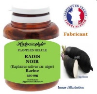 Plante en gélule - Radis noir (raphanus sativus var. niger) - Herboristerie Bardou™
