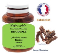 Plante en gélule - Rhodiole (rhodiola rosea) - Herboristerie Bardou™