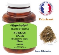 Plante en gélule - Sureau noir (sambucus nigra) - Herboristerie Bardou™