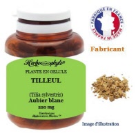 Plante en gélule - Tilleul (tilia sylvestris) - Herboristerie Bardou™