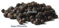 Plante en vrac - Poivre noir (piper nigrum) - Herbo-phyto - Herboristerie Bardou™ 