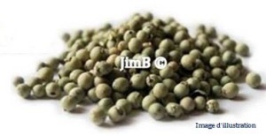 Plante en vrac - Poivre vert (piper nigrum) - Herbo-phyto - Herboristerie Bardou™ 