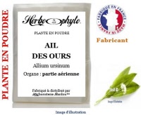 Plante en poudre - Ail des ours (allium ursinum) - Herbo-phyto® - Herboristerie Bardou™