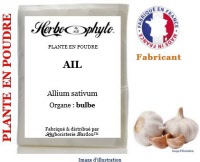 Plante en poudre - Ail (allium sativum) poudre - Herbo-phyto® - Herboristerie Bardou™