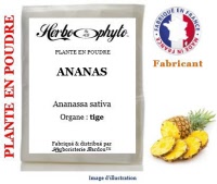 Plante en poudre - Ananas (ananassa sativa) tige poudre - Herboristerie Bardou™