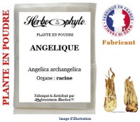 Plante en poudre - Angélique (angelica archangelica) - Herbo-phyto® - Herboristerie Bardou™