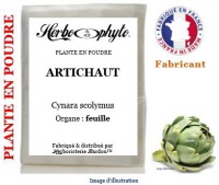 Plante en poudre - Artichaut (cynara scolymus) poudre - Herbo-phyto® - Herboristerie Bardou™