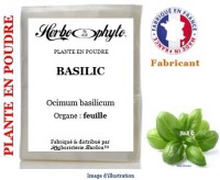 Plante en poudre - Basilic (ocimum basilicum) poudre - Herboristerie Bardou™