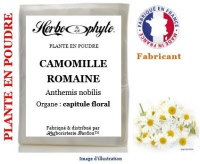Plante en poudre - Camomille romaine (anthemis nobilis) poudre - Herboristerie Bardou™