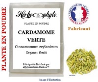 Plante en poudre - Cardamome verte (elettaria cardamomum) poudre - Herboristerie Bardou™