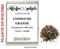 Plante en poudre - Consoude grande (symphytum officinale) poudre - Herbo-phyto® - Herboristerie Bardou™