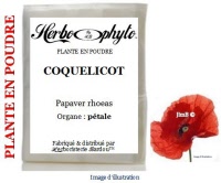 Plante en poudre - Coquelicot (papaver rhoeas) poudre - Herboristerie Bardou™