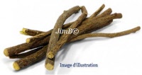 Plante en vrac - Réglisse (glycyrrhiza glabra) - Herbo-phyto - Herboristerie Bardou™ 