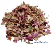 Plante en vrac - Rose pale (rosa centifolia) - Herbo-phyto - Herboristerie Bardou™ 