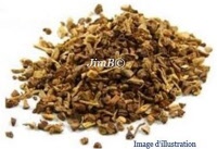 Plante en vrac - Salsepareille grise (smilax medica) - Herbo-phyto - Herboristerie Bardou™ 