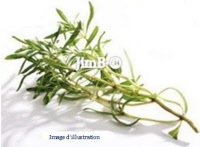 Plante en vrac - Sarriette (satureja montana) - Herbo-phyto - Herboristerie Bardou™ 