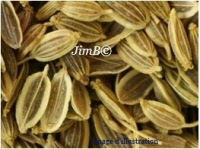 Plante en vrac - Semen contra (artemisia cina) - Herbo-phyto - Herboristerie Bardou™ 