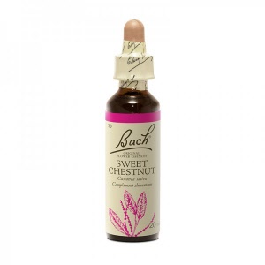 Fleur de bach - Sweet chesnut (castanea sativa)(chataignier) - Bach original® - Herboristerie Bardou™